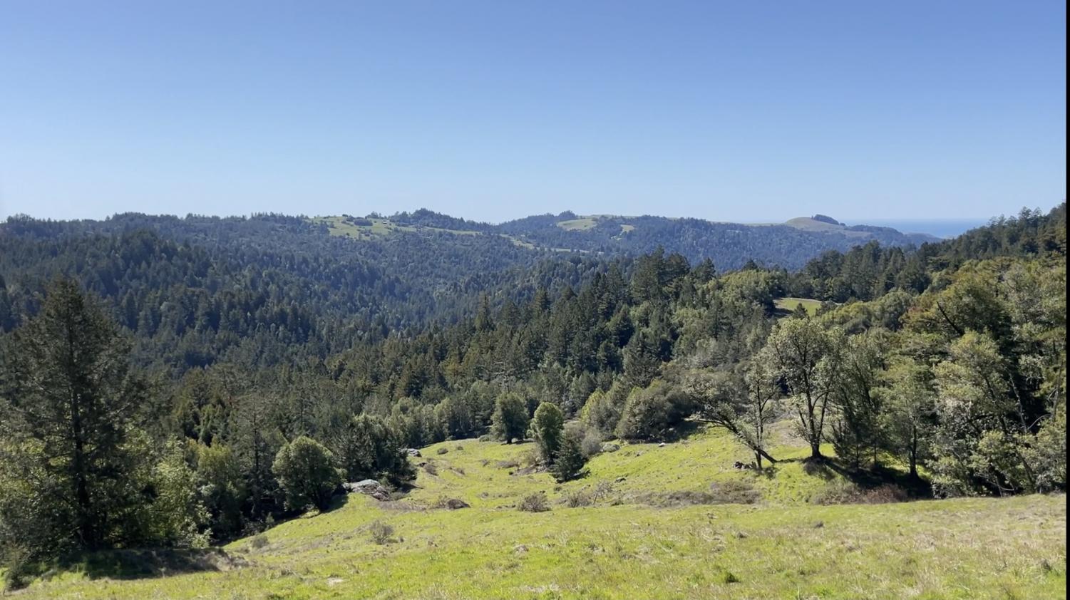 Willow Creek Road Trail Let Summer Hiking Begin The Oak Leaf 1036