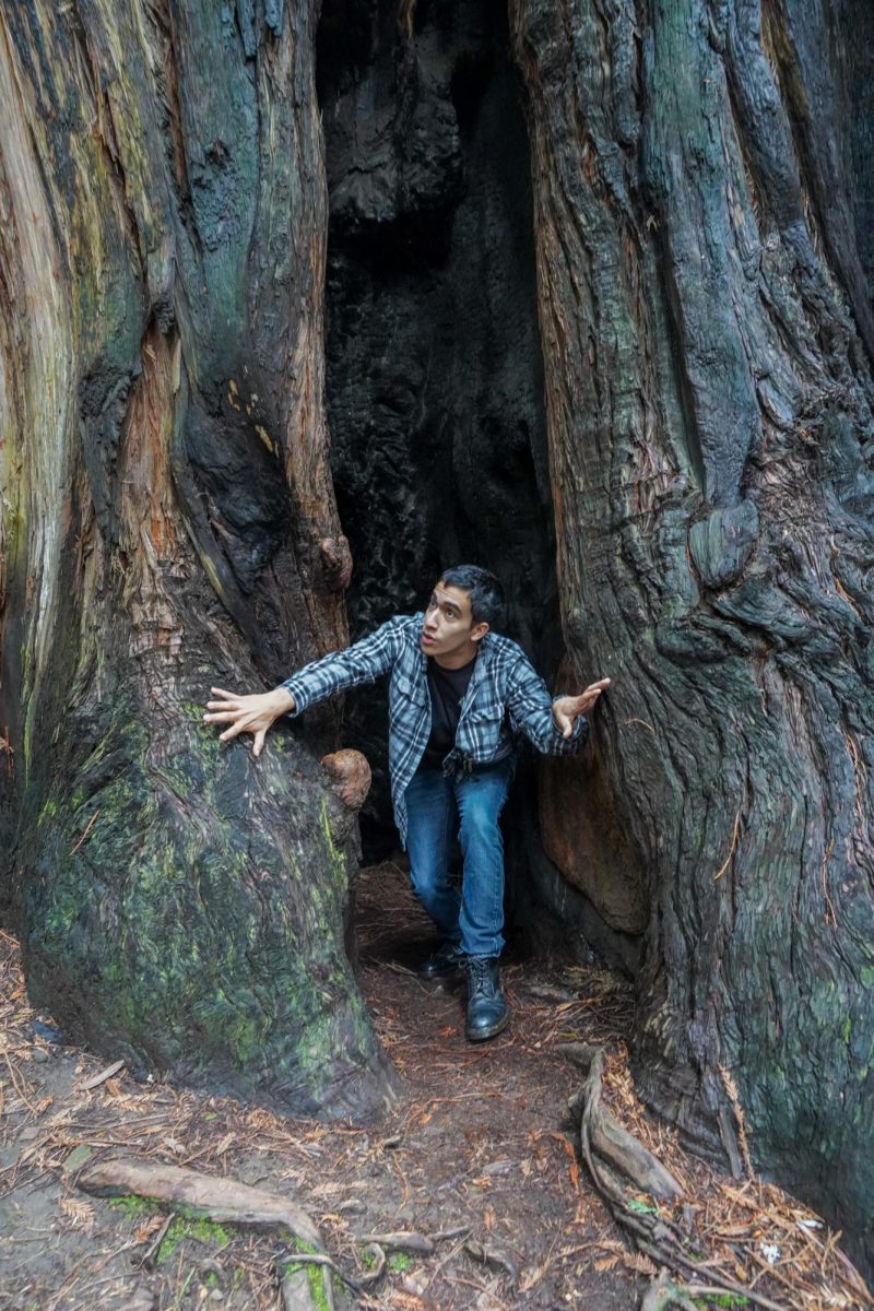 The Oak Leaf reporter Sal Sandoval-Garduño investigates a hollowed-out redwood tree, likely Bigfoot's sleeping quarters. 