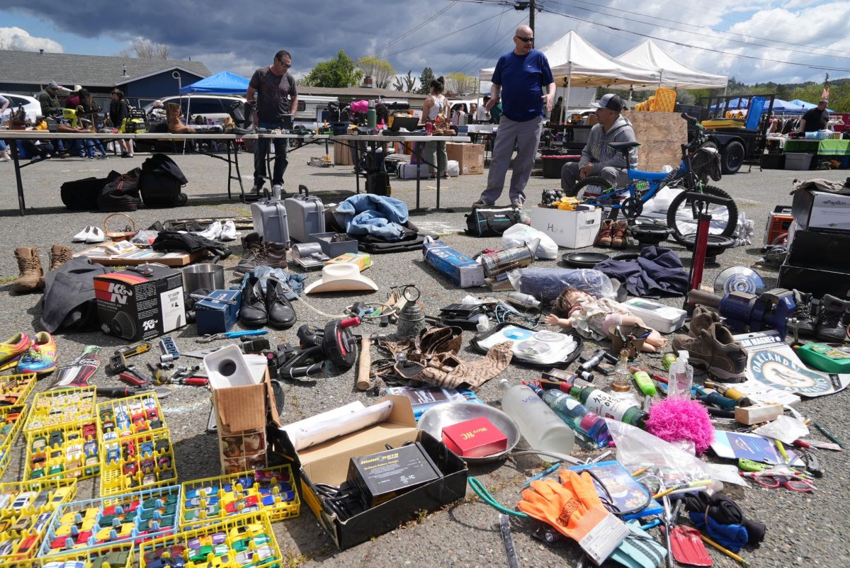 So many items, so little time. Who knows what treasures may be had with a little time spent sifting through at the Santa Rosa Veterans Flea Market.