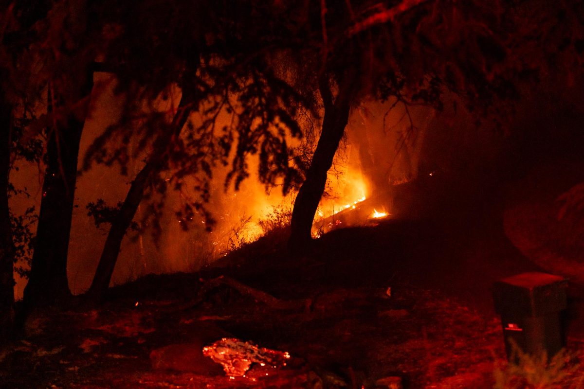 A blaze crawls up the hill of a driveway on West Dry Creek Road during the Point Fire on Sunday, June 16, 2024.