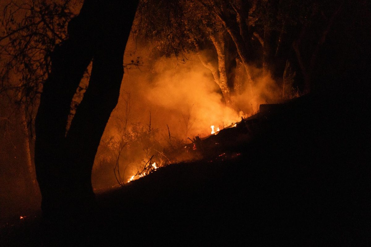 The Point Fire creeps up West Dry Creek Road on Sunday, June 16, 2024 in Healdsburg. 