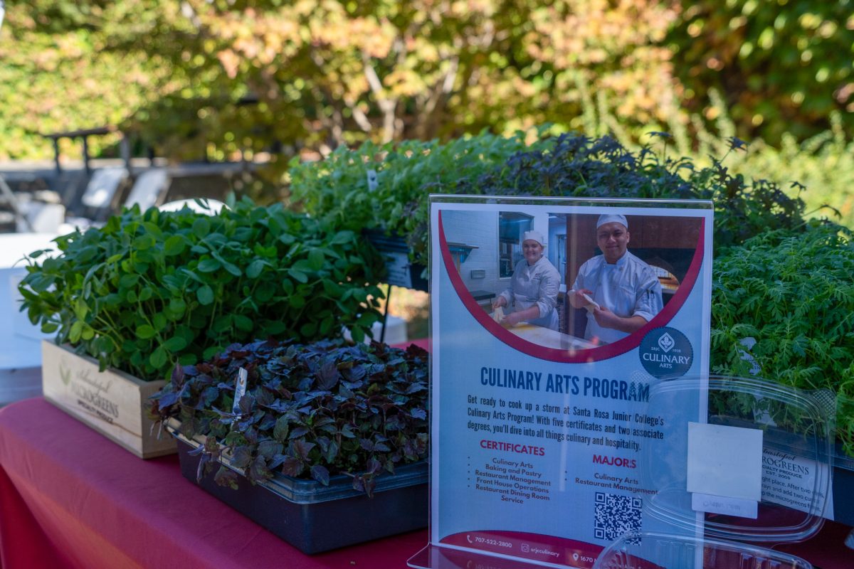 SRJC's Culinary Arts Program present an interactive booth for attendees to taste a variety of herbs at the Green Living Fair  in the Bertolini Quad on the Santa Rosa campus on Thursday, Oct. 10, 2024.