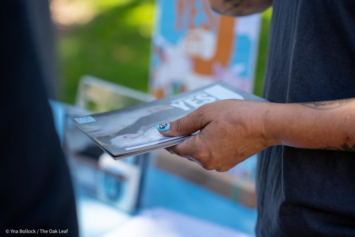 Collateral for "Yes on J" is made available to SRJC students in the quad on Thursday, August 22, 2024 in Santa Rosa.