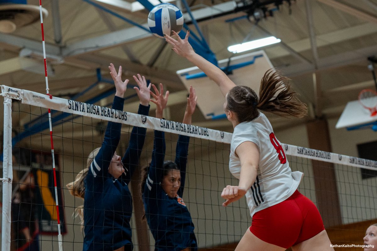 Bear Cubs’ outside hitter Katie Brenninger rises high for a kill against the College of the Sequoias at Haehl Pavilion on Nov. 23rd, 2024. 