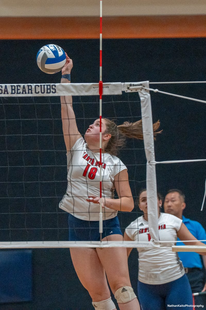 Santa Rosa’s middle/opposite Luka Amad rises up for a spike against San Joaquin Delta at Haehl Pavilion on Friday, Nov. 15, 2024.