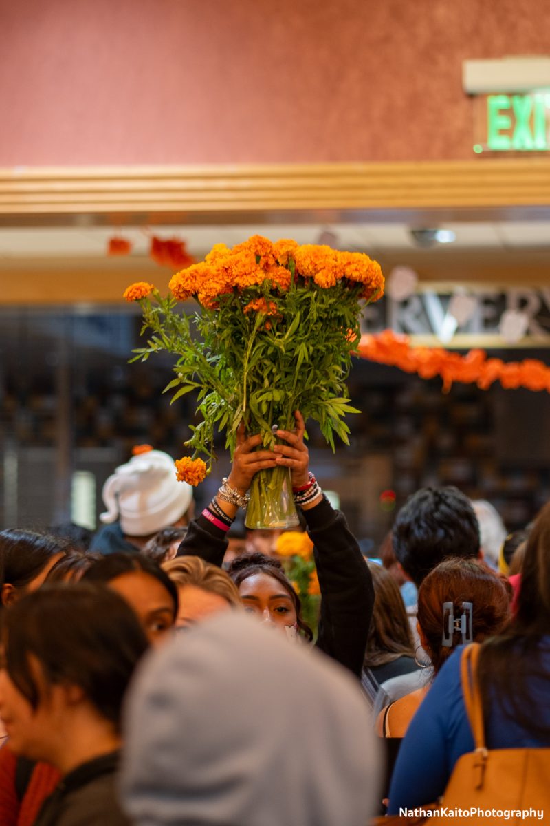 Areli Garcia carries marigolds through the crowd as finishing touches are placed for the Dia De Muertos event at the Bertolini Student Center on Wednesday, Oct. 23, 2024.