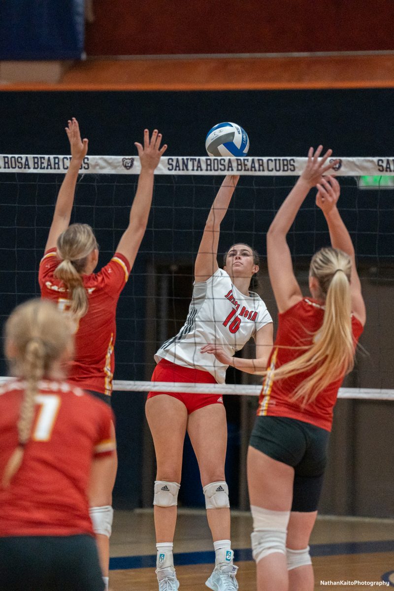 Santa Rosa’s setter/opposite Lily Comma jumps high for a spike against Sacramento City College at Haehl Pavilion on Friday, Nov. 1, 2024. 