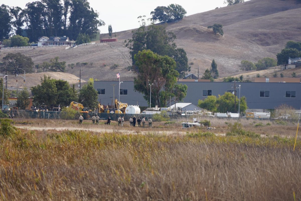 Sonoma County Sheriff deputies, Petaluma Police, Petaluma Fire and EMTs surrounding the suspect in the middle of the Petaluma River near Lakeville Highway on Tuesday, Nov. 5.