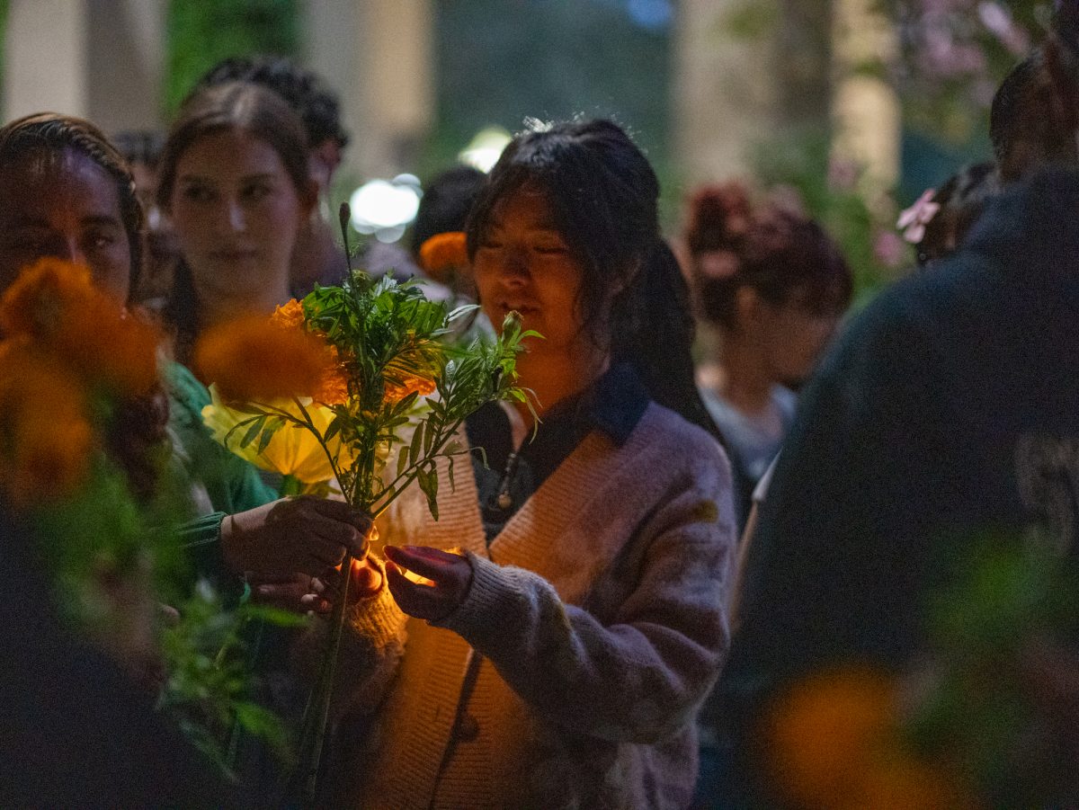 Marigolds are handed to attendees on their way into Newman Auditorium to view the first of many ofrendas during the Dia De Muertos celebration at the Santa Rosa campus on Wednesday, Oct. 23, 2024.