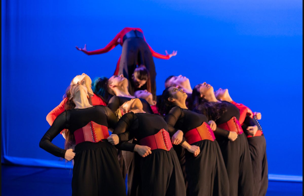 SRJC's dance program includes a dance company performance course in the Fall semester and a collaborative dance performance course with the Theatre department in the spring