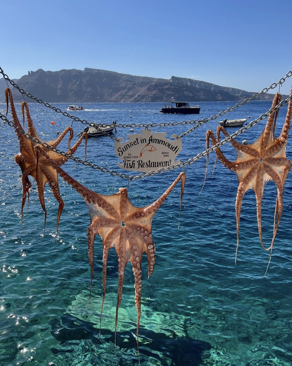 Fresh octopus hang in front of a seaside restaurant in Santorini, Greece. 