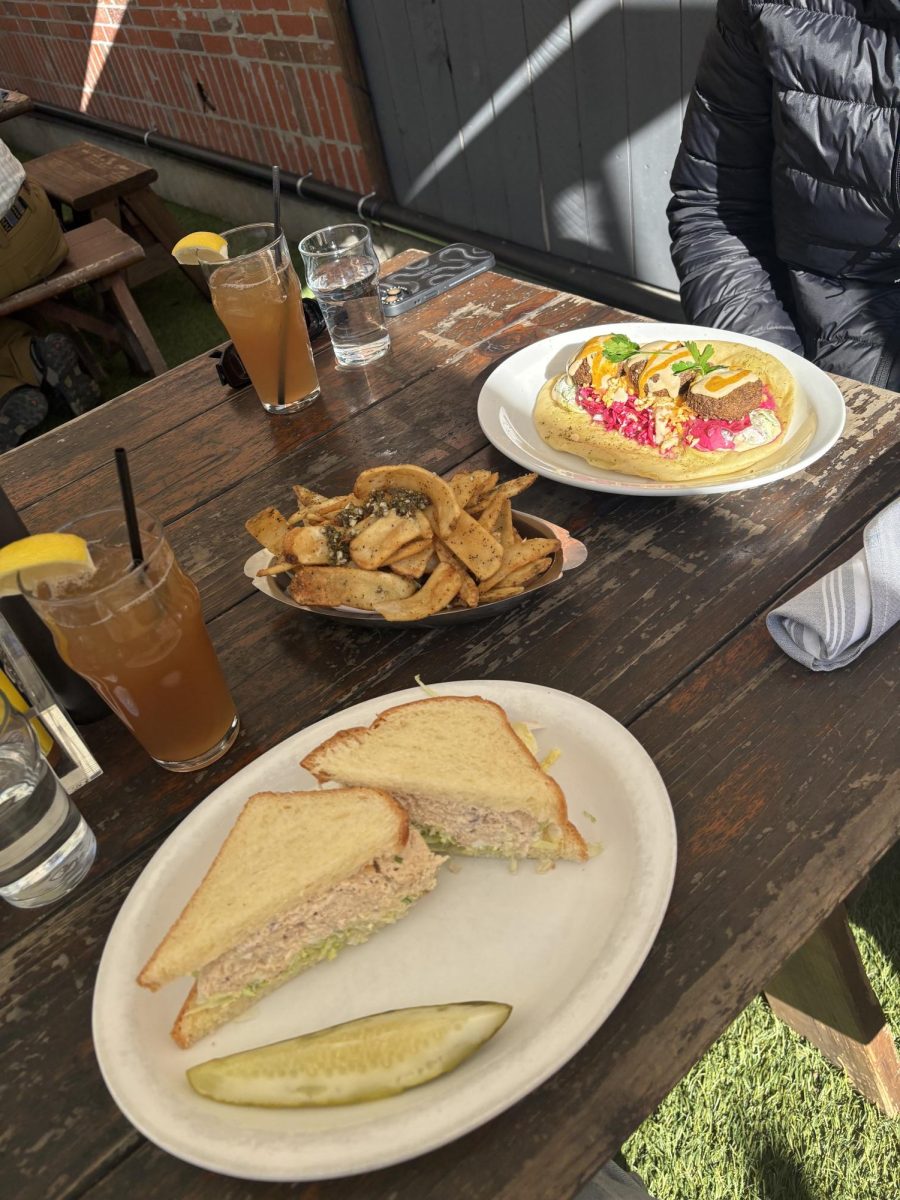 The Oak Leaf’s Reporter Cristan Molinelli-Ruberto’s lunch spread with a friend. The Falafel Pita, Half and Half sandwich, and spiced fries. Accompanied by two Arnold Palmer iced teas. On Wednesday, Jan. 8, at Grossman’s Noshery & Bar in the Historic Railroad Square Downtown Santa Rosa.