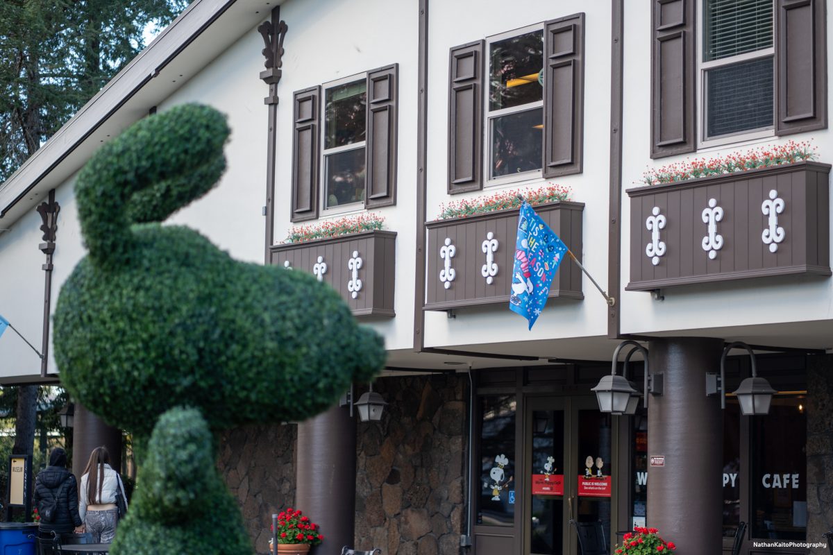 Snoopy's Home Ice sits on W Steele Lane,  Santa Rosa, providing a fun place for skaters and hockey enthusiasts to spend their time.