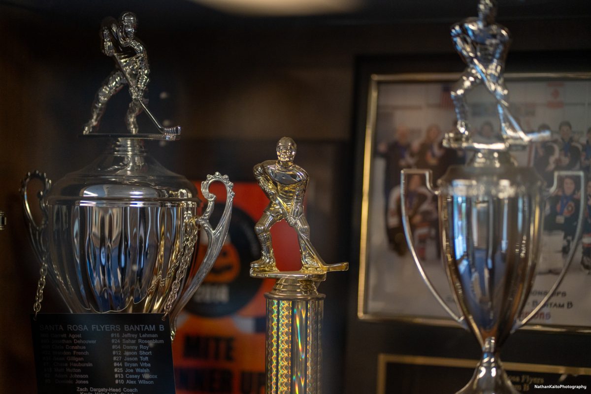 A dazzling display case full of  ice hockey trophies sits inside Snoopy's Home Ice's lobby, displaying thier rich roots with the sport.