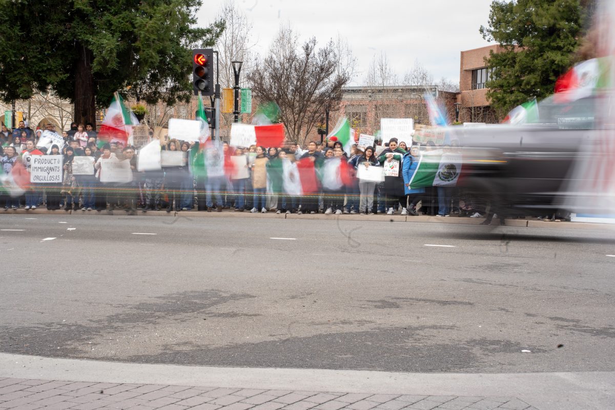 A mob of picketers stand in protest of the crackdown on immigration as cars pass by at Old Courthouse Square on Monday, Feb. 3, 2025.