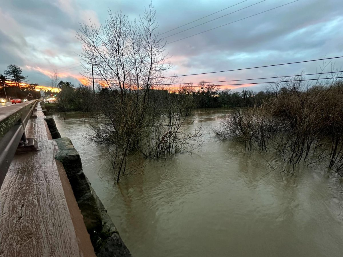 The waters of Laguna de Santa Rosa approach near-road level on Highway 12 outside of Sebastopol on Tuesday, February 4, 2025.