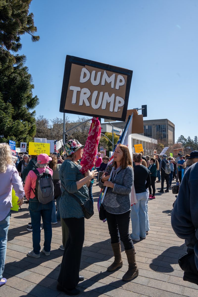 Demonstrators gather together with handmade signs during the International Women’s Day march in Old Courthouse Square on Saturday, March 8, 2025 in Santa Rosa.  